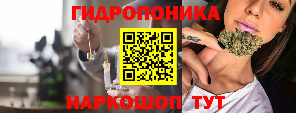 Сыктывкар  Каннабис план  Бошки марихуана сатива  Вход с VPN  Шишки марихуана планчик 